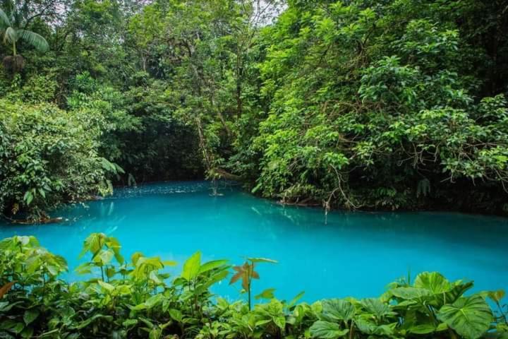 Cabinas El Pilon Rio Celeste Exterior photo