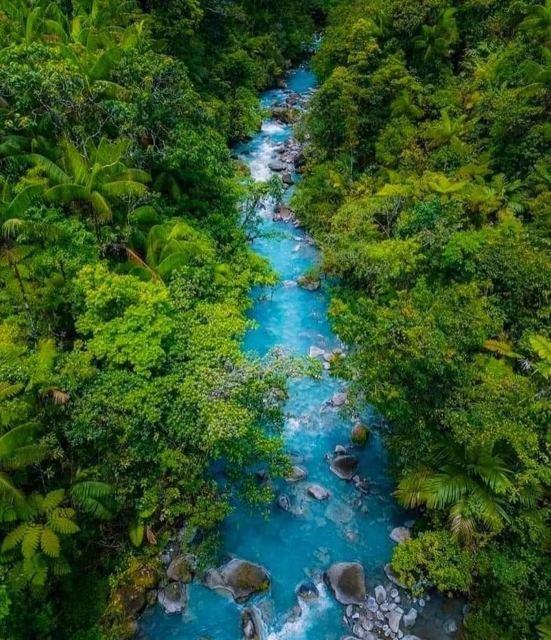 Cabinas El Pilon Rio Celeste Exterior photo