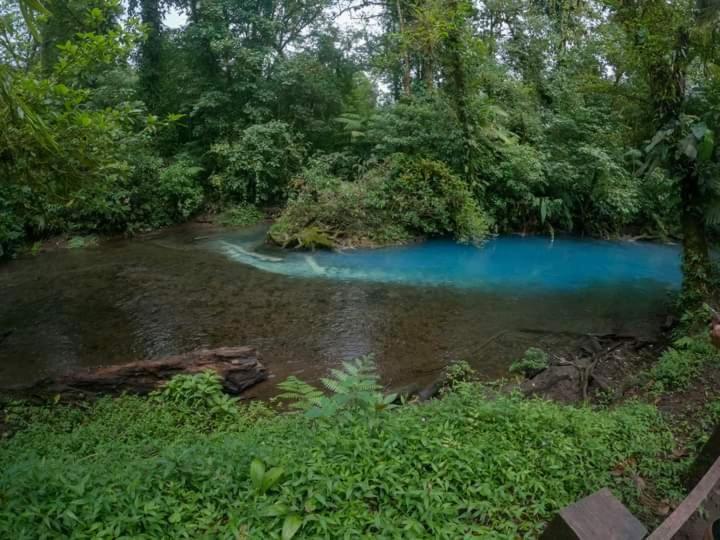 Cabinas El Pilon Rio Celeste Exterior photo
